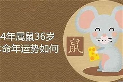 木鼠之命|1984年4月20日出生的人命运如何？五行缺什么？